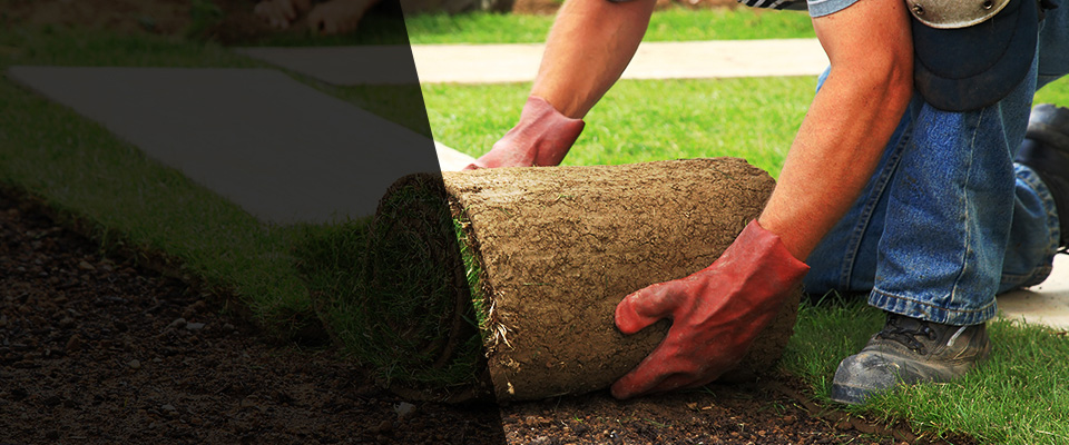 Manteno Landscapers